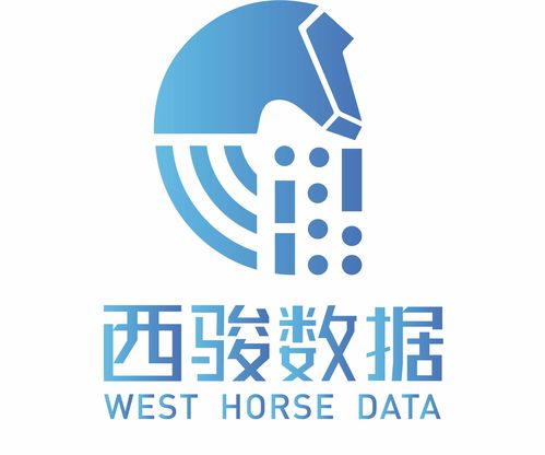 西駿數(shù)據(jù)項(xiàng)目信息平臺(tái)與軟件銷售策略分析