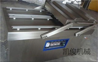 廠家直銷(xiāo)500雙室真空包裝機(jī)